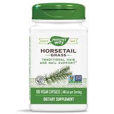 Horsetail Grass