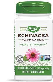 Echinacea