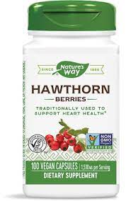 Hawthorn Berries