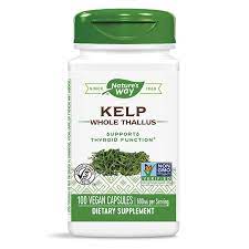Kelp Whole Thallus