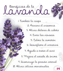 Lavender oil