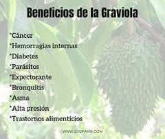 E&D herbs Graviola