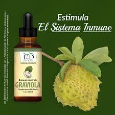 E&D herbs Graviola