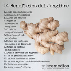 Ginger oil