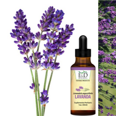 E&D herbs Lavanda